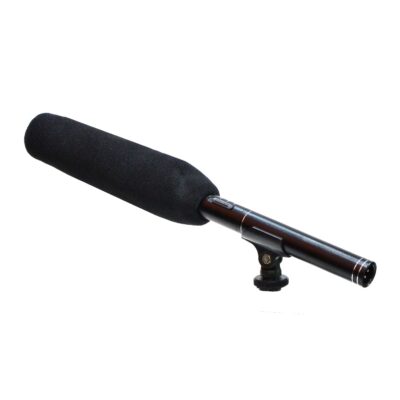 Mic Thu Am Dinh Huong YC CFM360 1