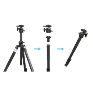 Chan May Anh Smallrig Lateral Center Column Ct200 4288 4